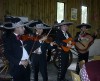 mariachis tijuana chile, serenatas en santiago precio oferta