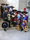 con la musica de mexico mariachis,serenatas,charros en vivo