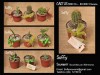 cactus , plantas, velas , denarios, como recuerdo de matrimonio o souvenir 