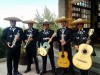 musica mexicana serenatas,charros sal y tequila mariachis