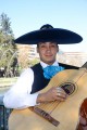 serenatas en maipu ,mariachis garantizados: (022) 301 63 70