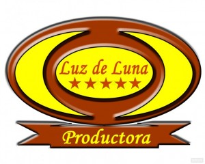 viviana Anuncios gratis para novios en Santiago |  banqueteria economica, todos los servicios incluidos, local, vajilla, decoracion, animacion, music