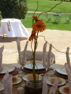 Gastronomia y Especies Anuncios gratis para novios en La Florida |  Banqueteria Eventos Sociales y Empresariales Matrimonios, Bautizos,etc., locales en santiago y alrededores, variedad de menus y presupuestos...