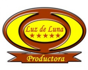 viviana Anuncios gratis para novios en Santiago |  arriendo vajilla, copas, mesas, sillas, banqueteria, , productora luz de luna