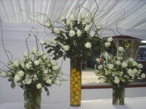 GUACOLDA HUINCAHUE Anuncios gratis para novios en Maip&uacute; |  PRODUCTORA GASTRONOMICA WINKAHUE, EVENTOS 