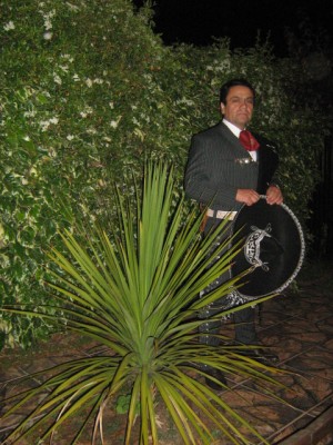 jose gabriel Anuncios gratis para novios en Santiago |  mariachi  para su boda, mariachi para ese dia tan especial
