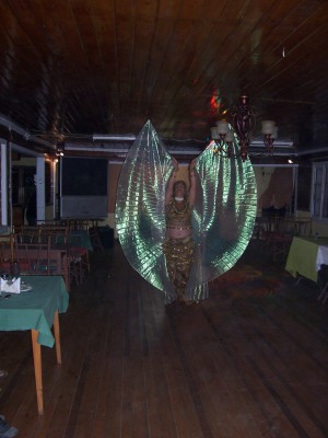 maria elsa justel  Anuncios gratis para novios en &Ntilde;u&ntilde;oa |  show arabe , bailarinas danza arabe para eventos