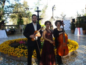 C&M Musicos Asociados coros y musicos profesionales Anuncios gratis para novios en Santiago |  Grupos musicales y corales para matrimonios,Novios, Coro Misa Matrimonio, Cantantes, Coros y Musicos para Ceremonia y Misas,092520393 C&M, Coro misas