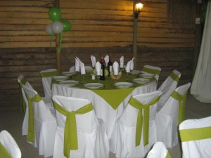 viviana campos Anuncios gratis para novios en Santiago |  arriendo vajilla, mesas, sillas, banqueteria, locales, arriendos luz de luna