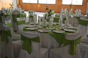 Jose Olivares O. Anuncios gratis para novios en Villa Alemana |  Banquetear&iacute;a, matrimonios, Bautizos, licenciaturas, cenas desde $8.500., Haz de tu evento un momento inolvidable, C&J producciones . 