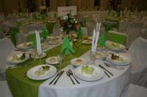 elena Anuncios gratis para novios en Concepci&oacute;n |  TODO PARA MATRIMONIOS, ANIVERSARIOS, CENAS ETC, SERVICIO INTEGRAL , TRONCOSO Y BRAVO BANQUETERIA/Servicio Integral y Profesional