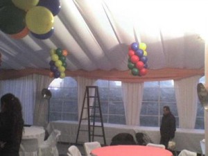 CARPAS GERMANIA Anuncios gratis para novios en Concepci&oacute;n |  ARRIENDO DE CARPAS Y TOLDOS. SOLO SERVICIO DE PRIMER NIVEL, &Uacute;nicos con decorador en terreno al momento de la instalaci&oacute;n