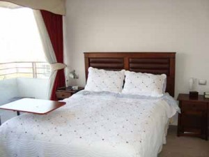 HOMECHILE Anuncios gratis para novios en Santiago |  260.000 - Arriendo Apartamento Amoblado - CHILE, Providencia, Santiago Centro, Las Condes