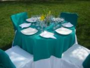 Elizabeth Wirlok Anuncios gratis para novios en Santiago |  Arriendo de vajilla y manteleria. 9670155 Elizabeth Wirlok, arriendo de sillas, mesones