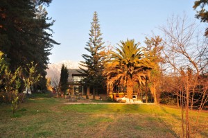 Mauricio Serrano Anuncios gratis para novios en La Florida |  Parcela para Eventos Lo Ca&ntilde;as, Servicios para eventos sociales