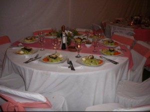 karin salas Anuncios gratis para novios en Pirque |  arriendo de carpa 9 x 8 metros, eventos kary para tu matrimonio , cumplea&ntilde;os, coctel, graduaci&oacute;n,etc