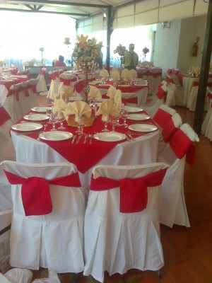 maria teresa Anuncios gratis para novios en Santiago |  banqueteria maria teresa eventos 9845065, matrimonios, garduaciones, bautizos, aniversarios, cocktail, etc