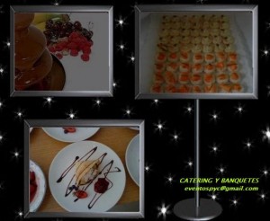 EMILIA Anuncios gratis para novios en Vi&ntilde;a del Mar |  BANQUETEROS  EN VI&Ntilde;A DEL MAR, SERVICIO DE BANQUETERIA A DOMICILIO
