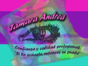 Tamara Andrea E.I.R.L Anuncios gratis para novios en Santiago |  Party Planner en Chile, Producci&oacute;n de eventos para fiestas