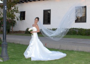 Paula Fern&aacute;ndez Gonz&aacute;lez Anuncios gratis para novios en Las Condes |  Vestido de Novia Pronovias Modelo Hawai Colecci&oacute;n 2010 , INCLUYE: Zapatos, Fald&oacute;n y Velo. PRECIO: $500.000 TALLA: 38  Un uso
