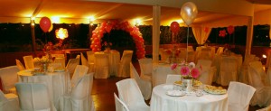  Anuncios gratis para novios en La Reina |  ARRIENDO VAJILLA, ARRIENDO VAJILLA Y MAS