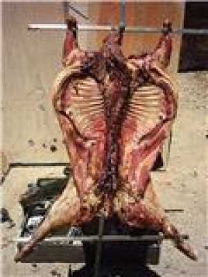 LUSEPE  Anuncios gratis para novios en Maip&uacute; |   CORDERITOS  MAGALLANICOS ALA ESPADA , ESPECIALES PARA MATRIMONIOS 