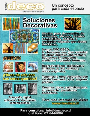 Joaquin De Moreira Anuncios gratis para novios en Vitacura |  Decoraci&ograve;n economica con estilo, Un concepto visual para cada espacio