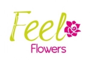 Monserrat Anuncios gratis para novios en Vi&ntilde;a del Mar |  Env&iacute;o de flores en vi&ntilde;a, flores en Vi&ntilde;a del Mar, rosas en ca - Feel flowers, env&iacute;o de flores Vi&ntilde;a del Mar,flores en Valpara&iacute;so, florer&iacute;as en Valpara&iacute;so,