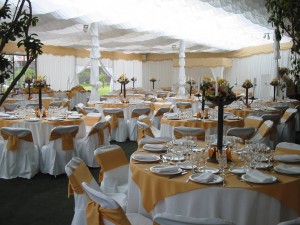 MARIA ROSARIO CUEVAS Anuncios gratis para novios en Maip&uacute; |  ARRIENDO DE VAJILLA EN MAIPU, DE TODO PARA SU EVENTO.  LOS MEJORES PRECIOS