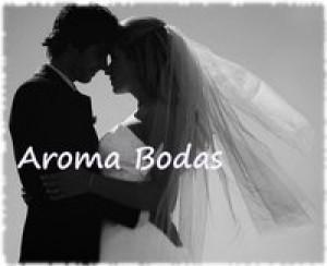 Aroma Bodas Anuncios gratis para novios en &Ntilde;u&ntilde;oa |  Arriendo Vestidos de novias nuevos y usados visita nuestro catalogo online., Tenemos stock de m&aacute;s de 20 vestidos nuevos para arrendar.