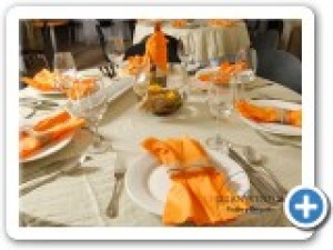 CHILLANEVENTOS Anuncios gratis para novios en Chill&aacute;n |  CHILLANEVENTOS   MATRIMONIOS, FIESTAS, BANQUETES, SALONES, MATRIMONIOS CHILLAN, EVENTOS CHILLAN, SALONES CHILLAN, FIESTAS CHILLAN