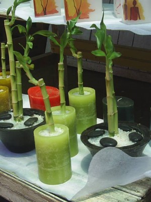 alejandro Anuncios gratis para novios en Santiago |  velas y fanales decorativos y caminos de luz, regalos para invitados al matrimonio decoraci&oacute;n general