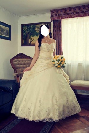  Anuncios gratis para novios en Santiago |  Vestido de novia de princesa - Tiara, color champagne - ivory
