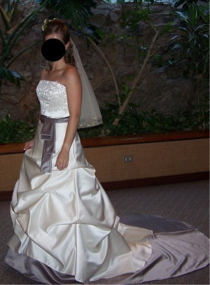 Luz Oppliger Anuncios gratis para novios en Santiago |  Vendo vestido elegant&iacute;simo de novia franc&eacute;s. Talla 38-40, 500.000