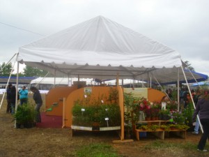 Jorge Rodriguez Anuncios gratis para novios en Valdivia |  ARRIENDO DE CARPAS Y TOLDOS, ARAUCANOEVENTOS ARRIENDO DE CARPAS Y TOLDOS  FABRICA