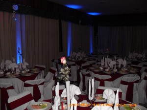 HERNAN AHUMADA ARANDA Anuncios gratis para novios en Concepci&oacute;n |  MATRIMONIOS, CENAS, COCKTAILS, BANQUETERIA EN CONCEPCION, COTIZE EN LINEA, http://www.EVENTOSDINNER.CL