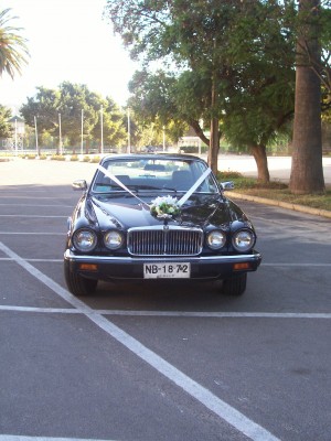 Coca Fern&aacute;ndez Anuncios gratis para novios en Vi&ntilde;a del Mar |  Arriendo auto Jaguar negro para matrimonio en la Quinta Regi&oacute;n, Arriendo con chofer, hermoso auto JAGUAR negro para matrimonio