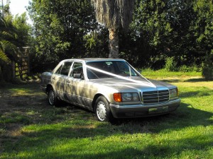 Eduardo San Mart&iacute;n J. Anuncios gratis para novios en Providencia |  ARRIENDO AUTO MERCEDES BENZ 300SE, Arriendo espectacular Mercedes Benz 300SE para matrimonios y eventos