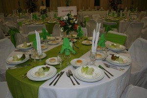 elena Anuncios gratis para novios en Concepci&oacute;n |  BANQUETERIA EN CONCEPCION PARA MATRIMONIOS Y EVENTOS EN GENERAL, TRONCOSO Y BRAVO BANQUETERIA/Servicio Integral y Profesional