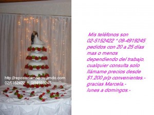 MARCELA Anuncios gratis para novios en Santiago |  TORTAS NOVIOS, TORTAS CUMPLEA&Ntilde;OS, 15 A&Ntilde;OS, BABY SHOWER ETC.....