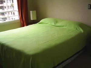  Anuncios gratis para novios en Santiago |  Arriendo Departamentos Amoblados.(D&iacute;as,semanas) Stgo centro, METRO UNIVERSIDAD CATOLICA