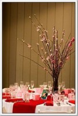Andrea Soto Anuncios gratis para novios en Santiago |  BANQUETERIA DARELI, MATRIMONIOS, Y TODO TIPO DE FIESTAS EN GENERAL