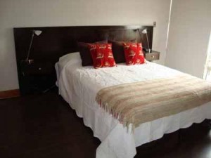 HomeChile Anuncios gratis para novios en Santiago |  DEPARTAMENTO AMOBLADO EN SANTIAGO, ARRIENDOS EN LAS CONDES, PROVIDENCIA, SANTIAGO CENTRO
