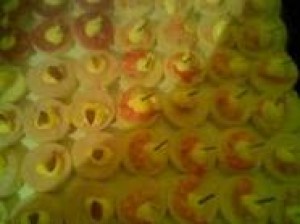 maria Anuncios gratis para novios en Santiago |  canape empanaditas pastelitos eventos garzones domicilio 086612223, tapaditos mini pizzas todo para su fiesta calidad variedad