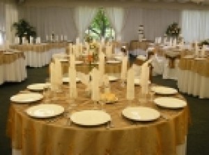 EVENTOS SIGLO XXI Anuncios gratis para novios en Santiago |  NOVIOS, BODAS, GRADUACIONES, FIESTAS EN GENERAL, PRODUCCION 