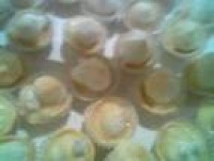  Anuncios gratis para novios en Santiago |  canape empanaditas pastelitos domicilio brochetas 086612223, tapaditos mini pizzas alitas de pollo todo p&agrave;ra su fiesta calidad variedad