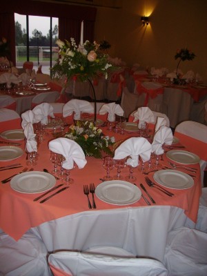 BANQUETES Anuncios gratis para novios en Santiago |  EVENTOS Y BANQUETERIA PARA MATRIMONIOS, SERVICIO CON LOCAL INCLUIDO