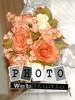 Roberto Jimenez Anuncios gratis para novios en Santiago |  Fotograf&iacute;a Profesional Matrimonios, Fotobook, presentaciones DVD, Foto bodas, Recuerdos Matrimonios