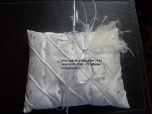 Carolina Anuncios gratis para novios en Santiago |  Cojines para argollas y souvenir exclusivos, recuerditos exclusivos para matrimonio
