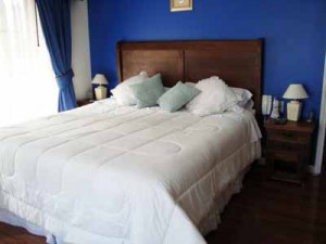 HOMECHILE Anuncios gratis para novios en Santiago |  &iquest;Buscas un lugar para vivir en Santiago?, &iquest;Tu propio departamento amoblado? 